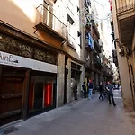 Ainb Picasso-corders