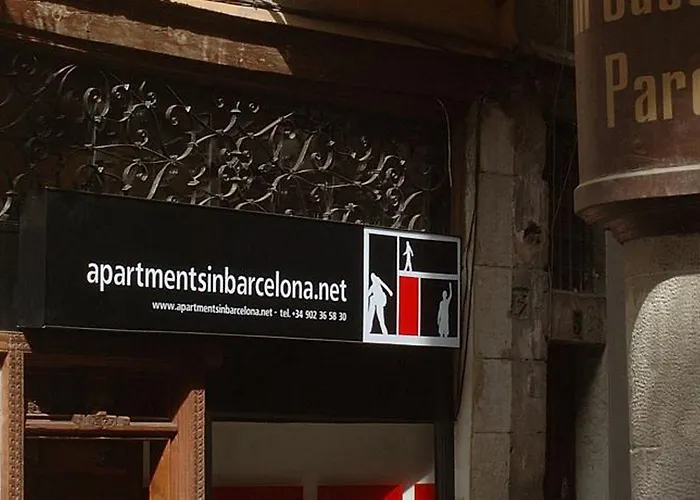 Ainb Picasso-corders